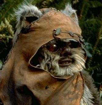 ewok.jpg (16576 bytes)