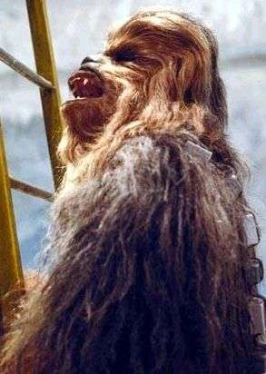 chewie.jpg (20503 bytes)